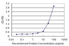 Anti-BST2 Antibody Pair