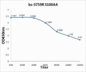 Anti-S100 A4 Rabbit Polyclonal Antibody