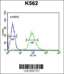 Anti-ARHGAP17 Rabbit Polyclonal Antibody