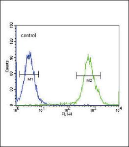 Anti-VEGFC Rabbit Polyclonal Antibody (PE (Phycoerythrin))