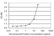 Anti-BST2 Polyclonal Antibody Pair