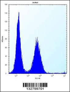 Anti-KCTD10 Rabbit Polyclonal Antibody (AP (Alkaline Phosphatase))