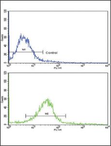 Anti-EDA Rabbit Polyclonal Antibody (FITC (Fluorescein))