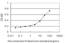 Anti-GRHL3 Mouse Monoclonal Antibody [clone: 3C5]