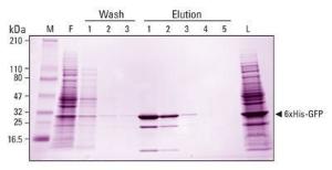 Affinity chromatography cartridges, cobalt, Pierce™