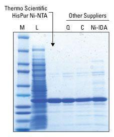 Affinity chromatography media, HisPur™ Ni-NTA Agarose