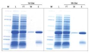 Affinity chromatography media, HisPur™ Ni-NTA Agarose