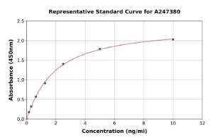 Representative standard curve for Human CD27 ELISA kit (A247380)