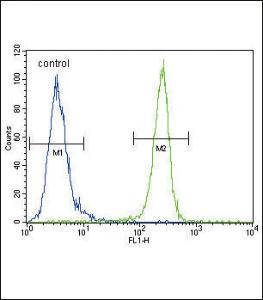 Anti-KDR Rabbit Polyclonal Antibody (AP (Alkaline Phosphatase))