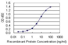 Anti-ARHGAP35 Mouse Monoclonal Antibody [clone: 4D4-F8]