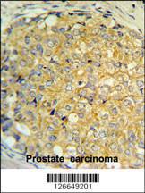 Anti-RNASEK Rabbit Polyclonal Antibody (FITC (Fluorescein Isothiocyanate))