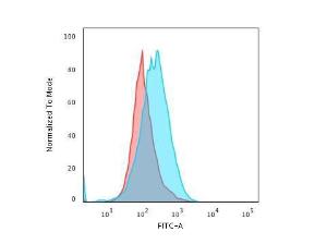 Anti-CD45 Mouse Recombinant Antibody [clone: rPTPRC/1460]