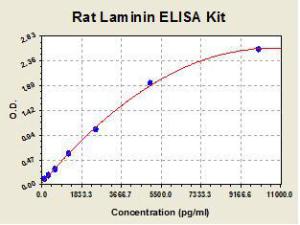 Rat laminin ELISA kit