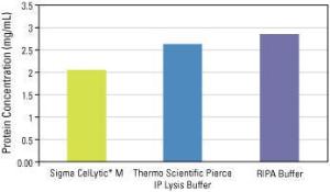 IP lysis buffer, Pierce™