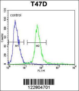 Anti-KCTD12 Rabbit Polyclonal Antibody (AP (Alkaline Phosphatase))