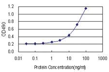 Anti-APOC4 Antibody Pair