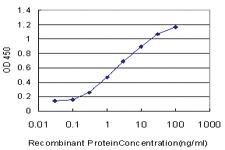 Anti-SCARB2 Mouse Monoclonal Antibody [clone: 1C8]