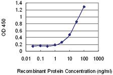 Anti-ORC1 Mouse Monoclonal Antibody [clone: 3H1]