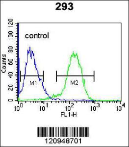 Anti-ENG Rabbit Polyclonal Antibody (Biotin)