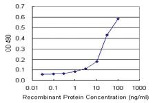 Anti-APLN Mouse Monoclonal Antibody (Biotin)