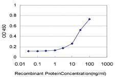 Anti-GSK3B Mouse Monoclonal Antibody [clone: 1H3]