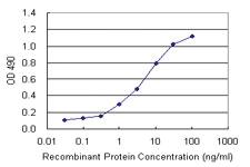 Anti-APLN Mouse Monoclonal Antibody (Biotin)