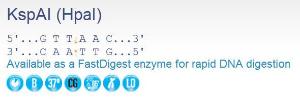 FERMER1032 - ENZYME KSPAI 2500 UNITS