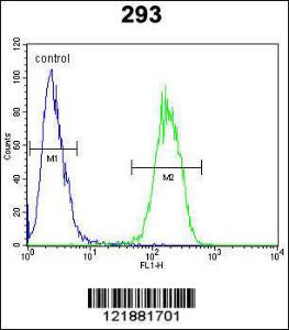 Anti-IL17F Rabbit Polyclonal Antibody (PE (Phycoerythrin))