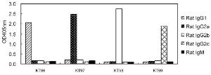 Rat immunoglobulin isotyping by ELISA using rat primary antibodies and HRP conjugated KT96, KT97, KT98 and KT99 as secondary antibodies