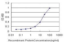 Anti-ORC4 Mouse Monoclonal Antibody [clone: 2A8]