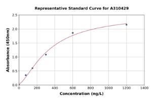 Representative standard curve for Human SYT13 ELISA kit (A310429)