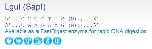 FERMER1932 - ENZYME LGUI 500 UNITS