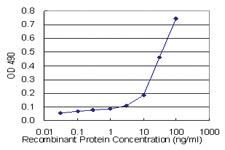 Anti-APLN Mouse Monoclonal Antibody (Biotin)