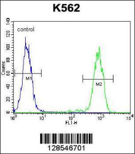 Anti-ELAVL2 Rabbit Polyclonal Antibody (FITC (Fluorescein Isothiocyanate))