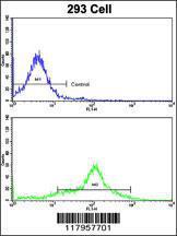 Anti-EHD3 Rabbit polyclonal antibody