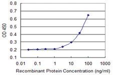 Anti-AQP8 Mouse Monoclonal Antibody [clone: 1A1]