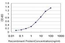 Anti-CD40 Mouse Monoclonal Antibody [clone: 1G1]