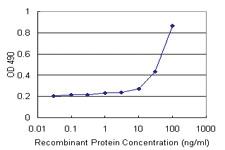 Anti-CKS2 Mouse Monoclonal Antibody (Biotin)