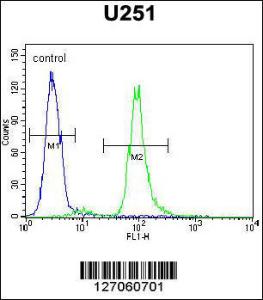 Anti-VITRN Rabbit Polyclonal Antibody