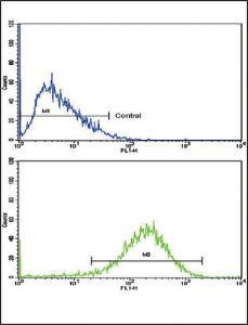 Anti-EHHADH Rabbit Polyclonal Antibody (AP (Alkaline Phosphatase))