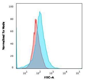 Flow cytometric analysis of MOLT4 cells using Anti-CFTR Antibody [CFTR/1643] followed by Goat Anti-Mouse IgG (CFand#174; 488) (Blue). Isotype Control (Red)