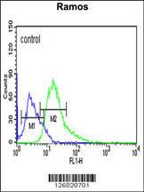 Anti-ARHGAP30 Rabbit Polyclonal Antibody (Biotin)