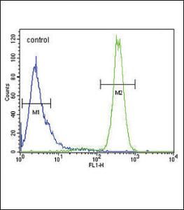 Anti-p19 Rabbit Polyclonal Antibody (FITC (Fluorescein Isothiocyanate))