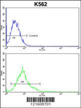 Anti-ALDH18A1 Rabbit Polyclonal Antibody (FITC (Fluorescein Isothiocyanate))