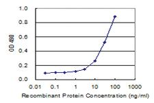 Anti-RGS20 Polyclonal Antibody Pair