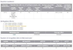 FERMFD2084 - ENZYME FD MAUBI 20µL (20RXN)