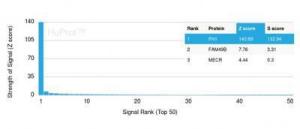 Analysis of protein array containing more than 19,000 full-length human proteins using Anti-Fibronectin Antibody [FN1/3569] Z-Score and S- Score