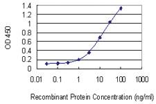 Anti-APOC3 Mouse Monoclonal Antibody [clone: 8H7]