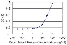 Anti-CD209 Mouse Monoclonal Antibody [clone: 3B10]