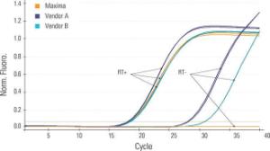 Maxima™ First Strand cDNA Synthesis kit